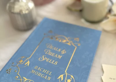 Close-up of the gold foil detailing on the front cover of the Deals & Dream Spells special edition, underneath the dust jacket.